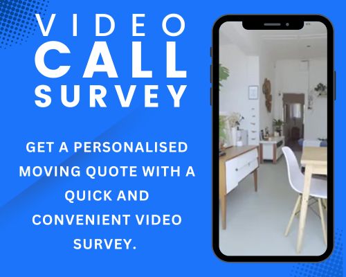 How to Arrange a Video Call Survey?